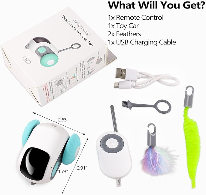 Pet Interactive Electric Car Toy