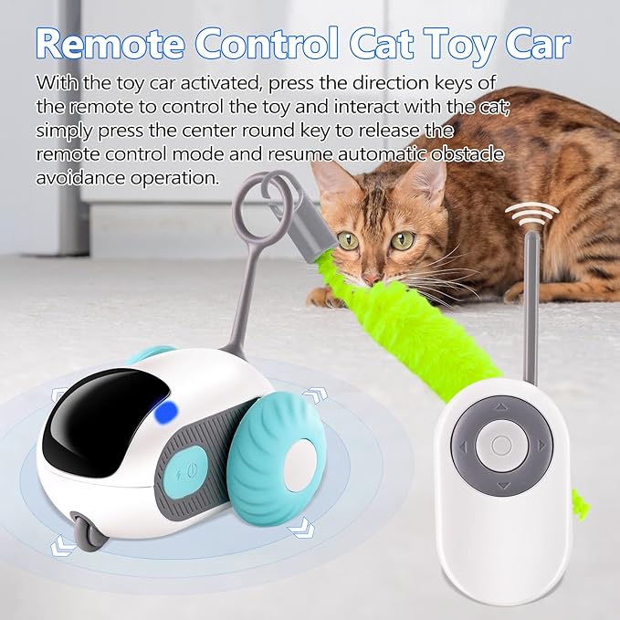 Pet Interactive Electric Car Toy