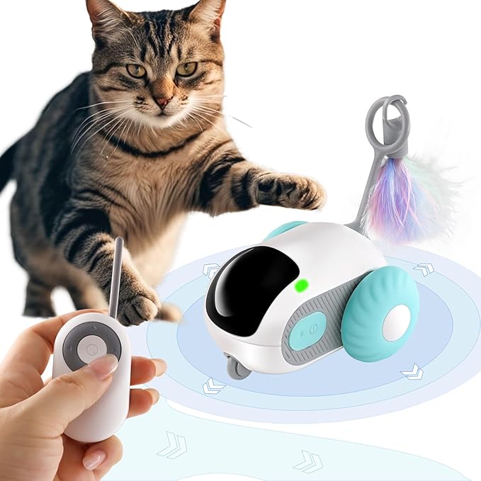 Pet Interactive Electric Car Toy