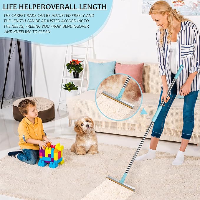 Pet Hair Remover for Floors