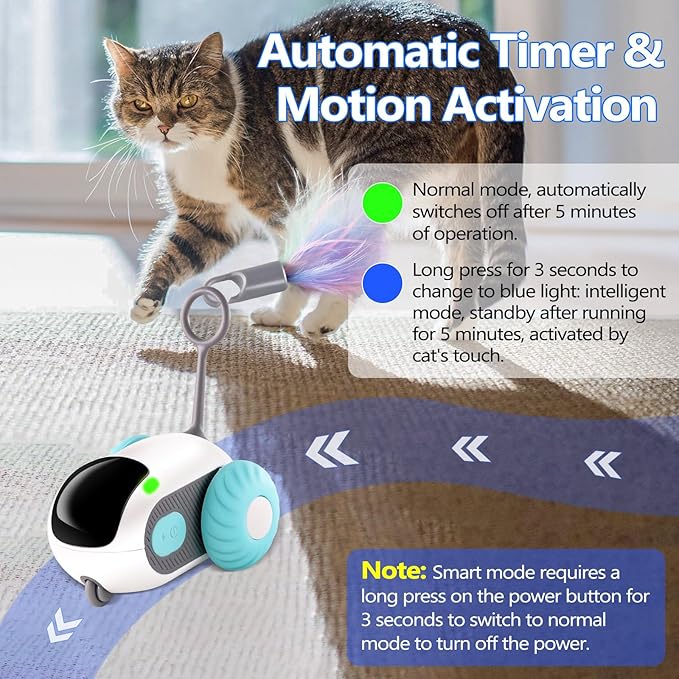 Pet Interactive Electric Car Toy